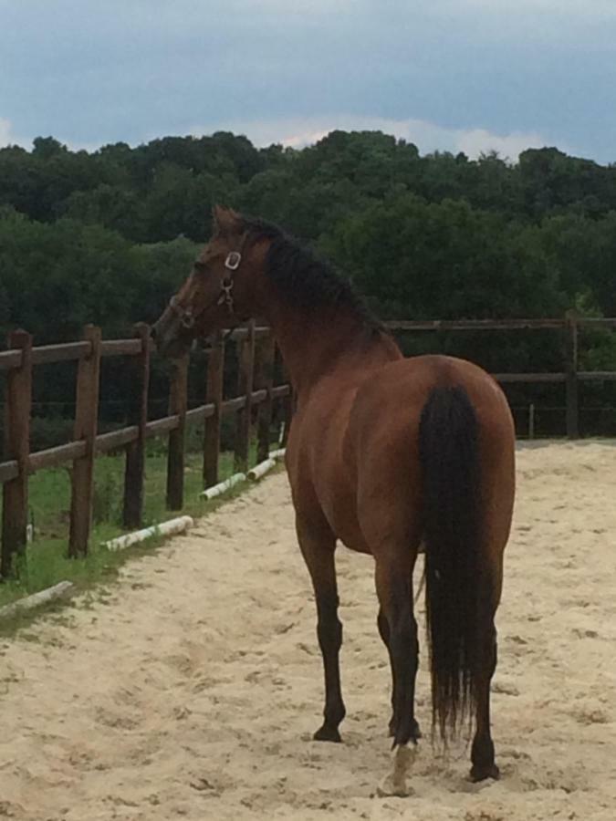 Appartamento Voyago Relax Ride Cadier en Keer
